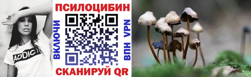 Галлюциногенные грибы мицелий  закладка  Киров 